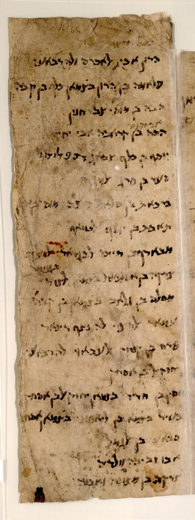 A narrow strip of medieval paper covered in Hebrew-script handwriting, listing names line by line: a Cairo Geniza list of people needing help paying the poll tax.