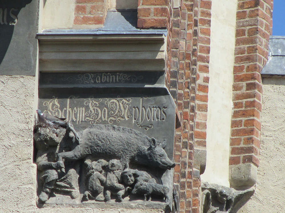 A weathered sandstone relief on the brick exterior of a church: a sow with several small human figures beneath it, under a band of gold lettering reading Schem HaMphoras. A live pigeon is perched on the left edge of the carving.